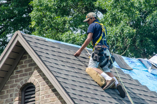 Roof Gutter Cleaning in River Hills, WI